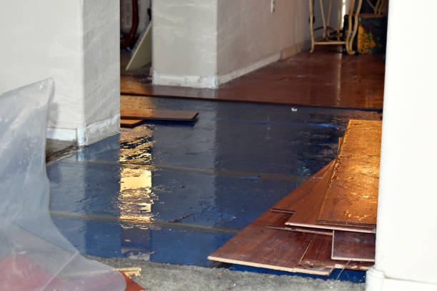 Professional Water Damage Restoration technician working in Bunola, PA